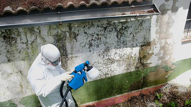 Top rated local Mold Removal specialists in Sperryville, VA